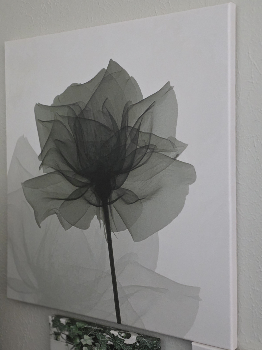 Monochrome Floral Canvas Wall Art - Green & White Bloom